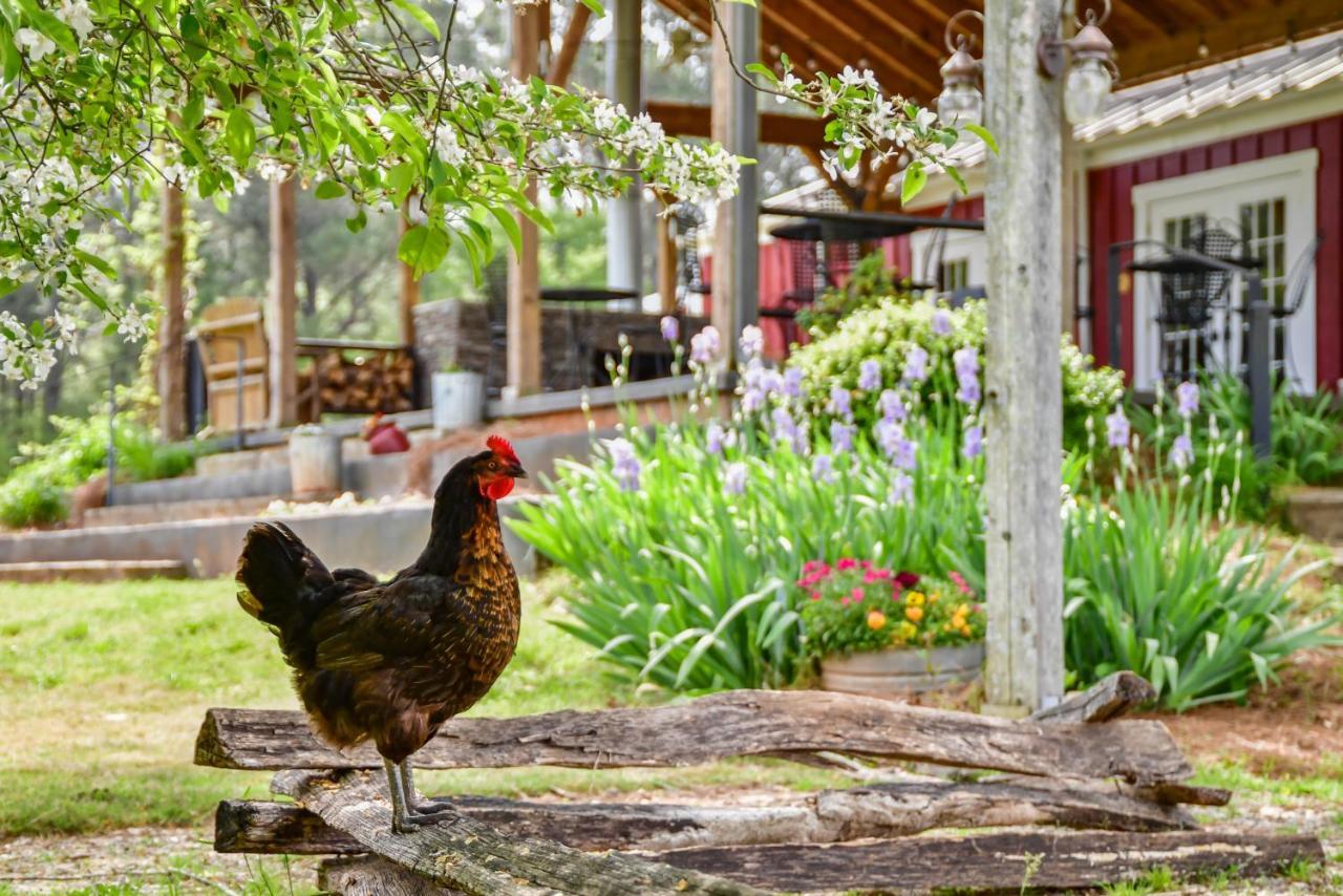 Buckhead The Farmhouse Inn מראה חיצוני תמונה